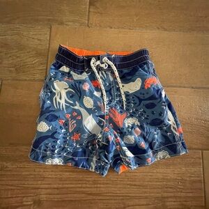 GAP Blue and Orange Ocean Print bathing suit swim trunks 2T